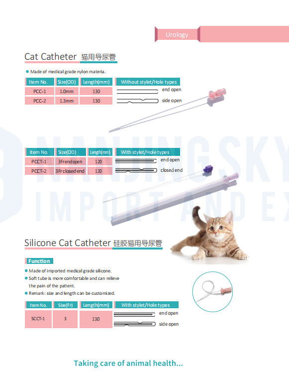 9a300ca19e84ecbf4303a13535a817ff