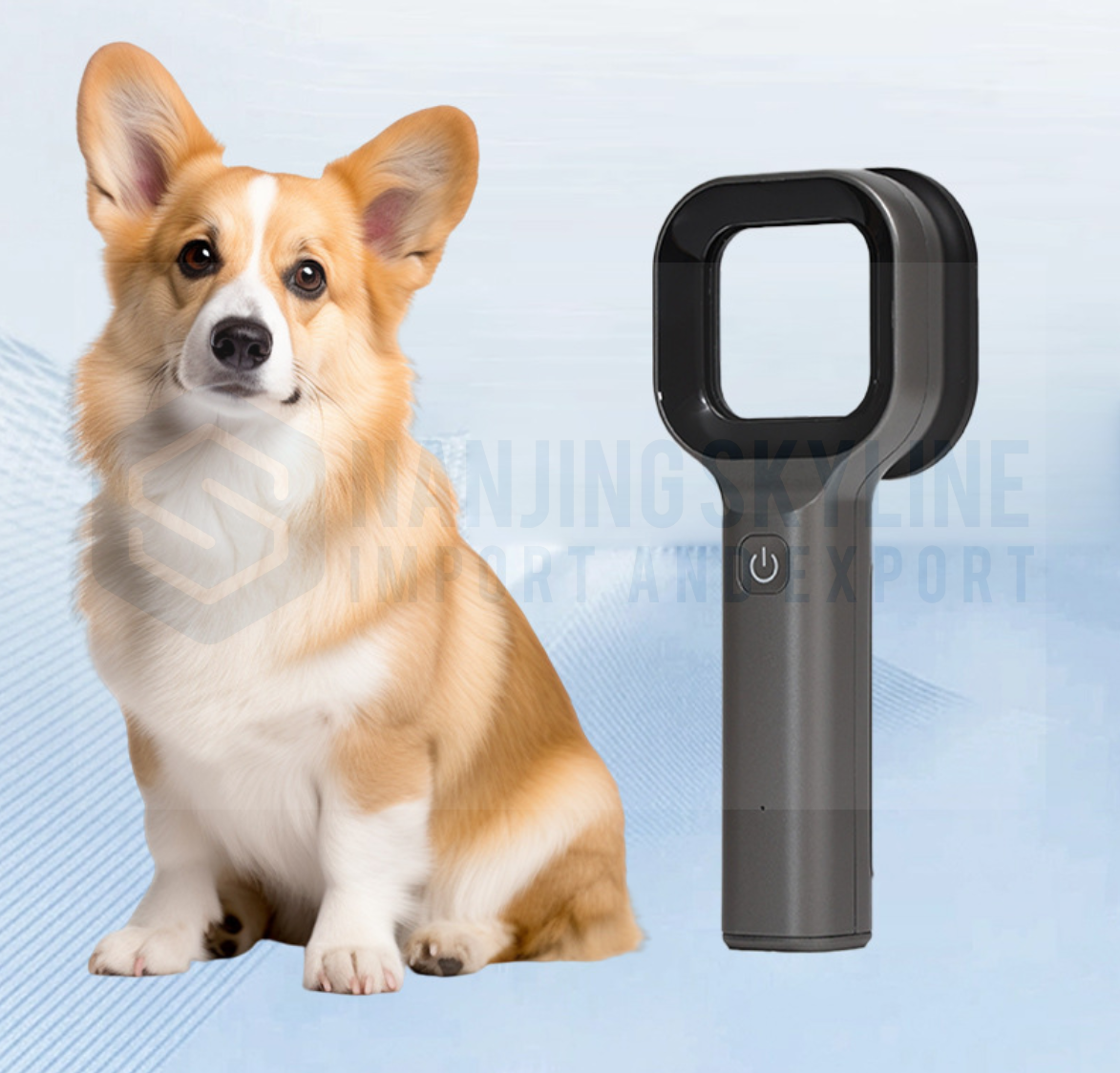 Veterinary Wood Lamp