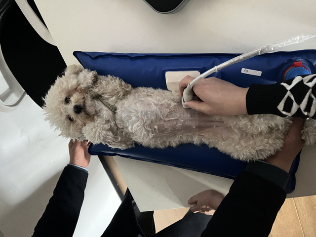 Positioning Mat 100*60CM