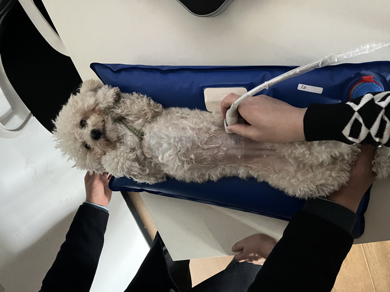 Positioning Mat 100*60CM