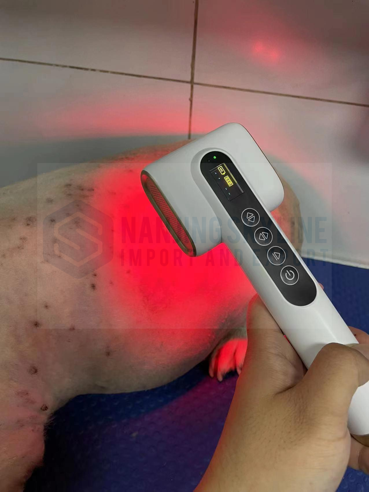 Veterinary Led Laser Therapy Device