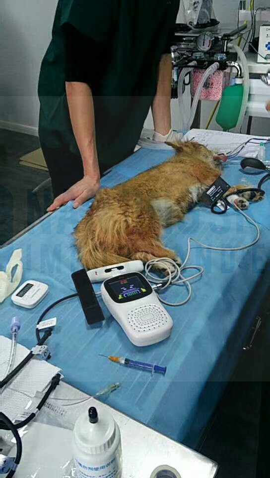 Doppler Blood Pressure Monitor