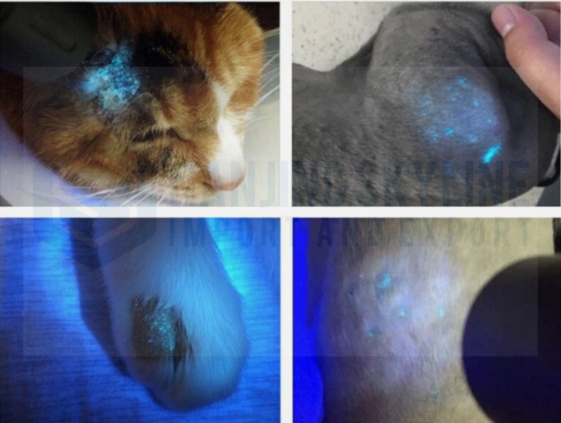 Veterinary Wood Lamp
