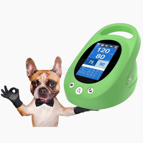 Blood pressure monitor