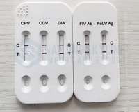 Animal Rapid Test