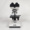 XSZ-107BN Microscope