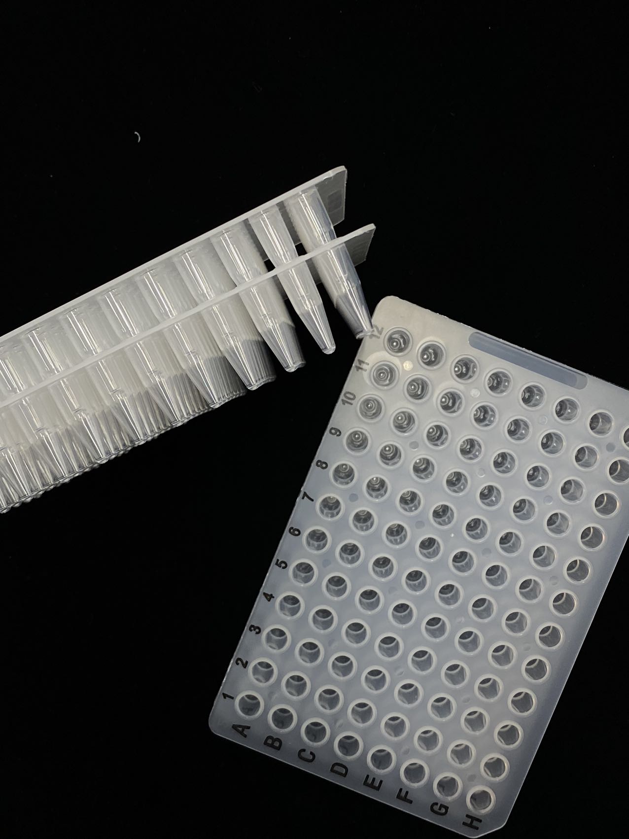 PCR Transparent 96 well plate with black mark 802029/802019/802017/802016
