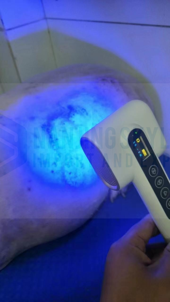 Veterinary Led Laser Therapy Device
