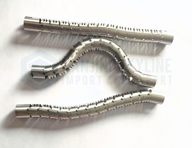 Endoscope Snake Bone