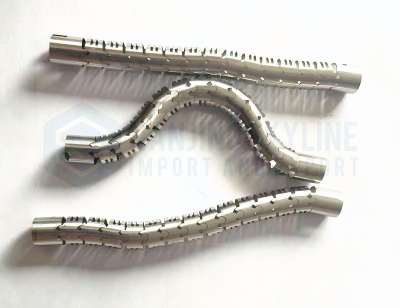 Endoscope Snake Bone