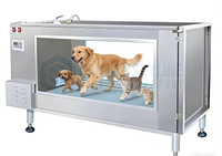 Animal Treadmill