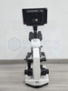 Trinocular Head Biological Microscope with 7inch Screen XSZ-107SM