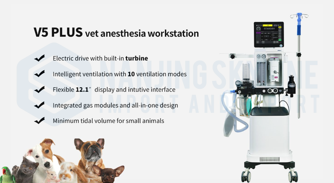 Animal Anaesthesia Machine