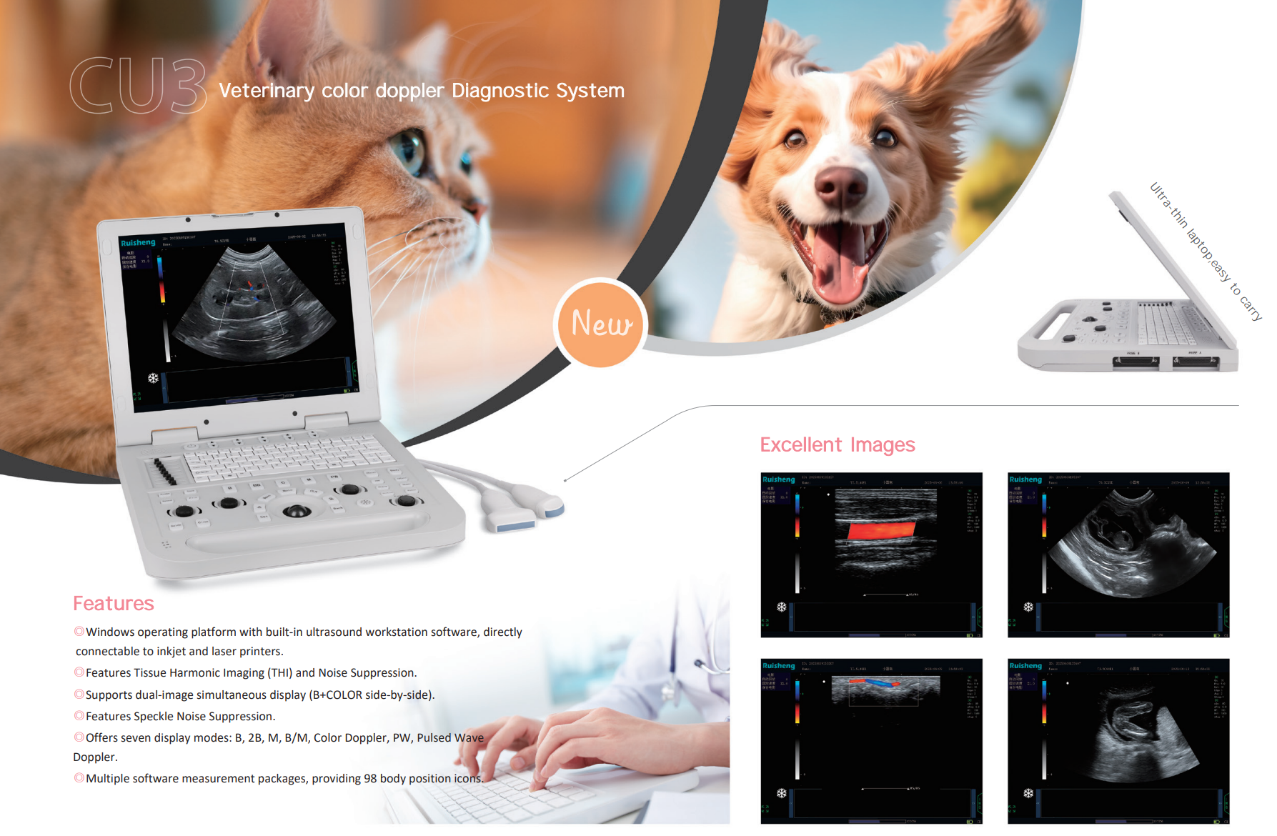 企业微信截图_17659396676029