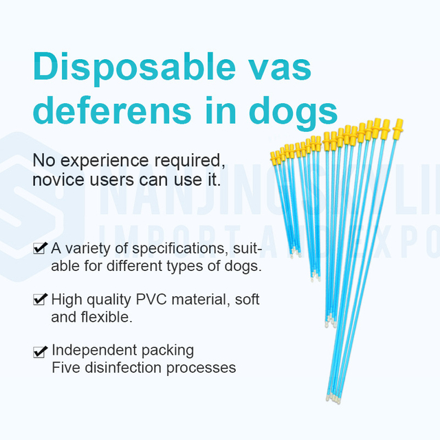 Dog Artificial Insemination Catheter