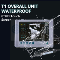 T1