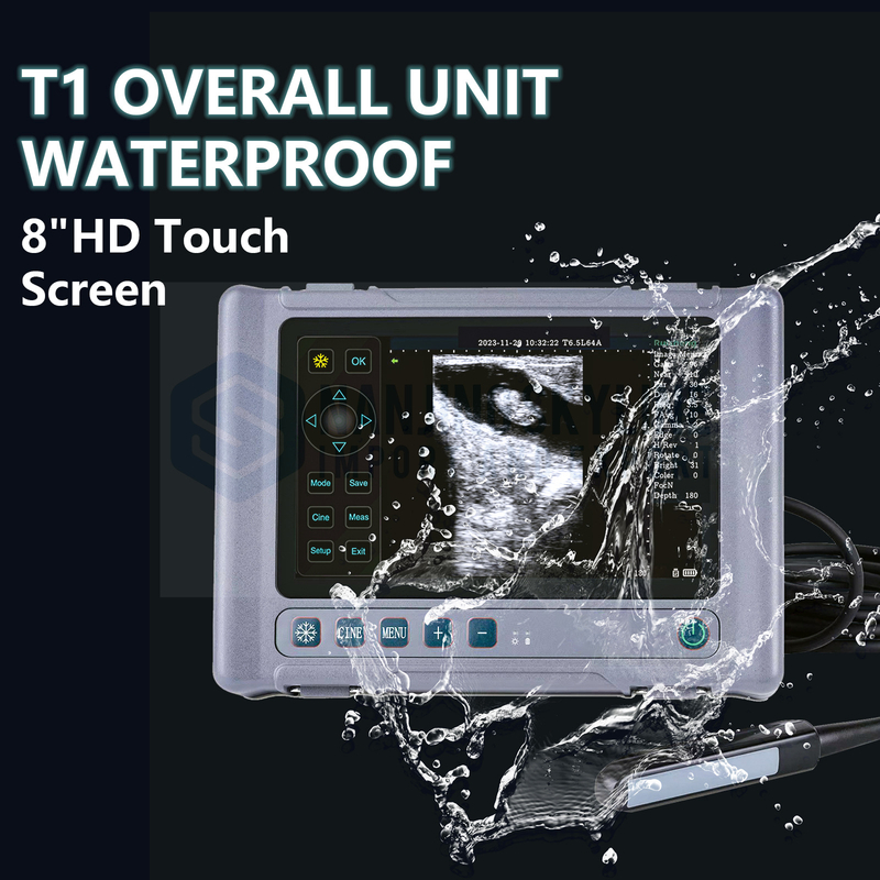 T1