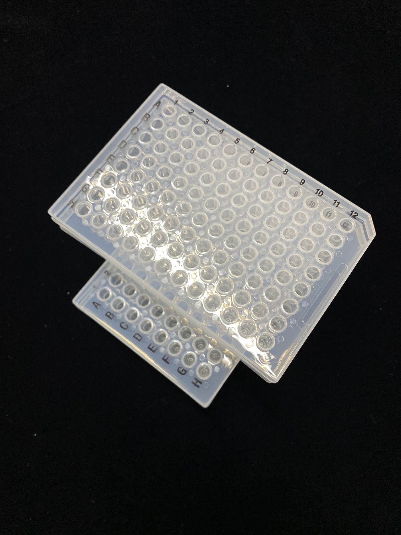 PCR Transparent 96 well plate with black mark 802029/802019/802017/802016