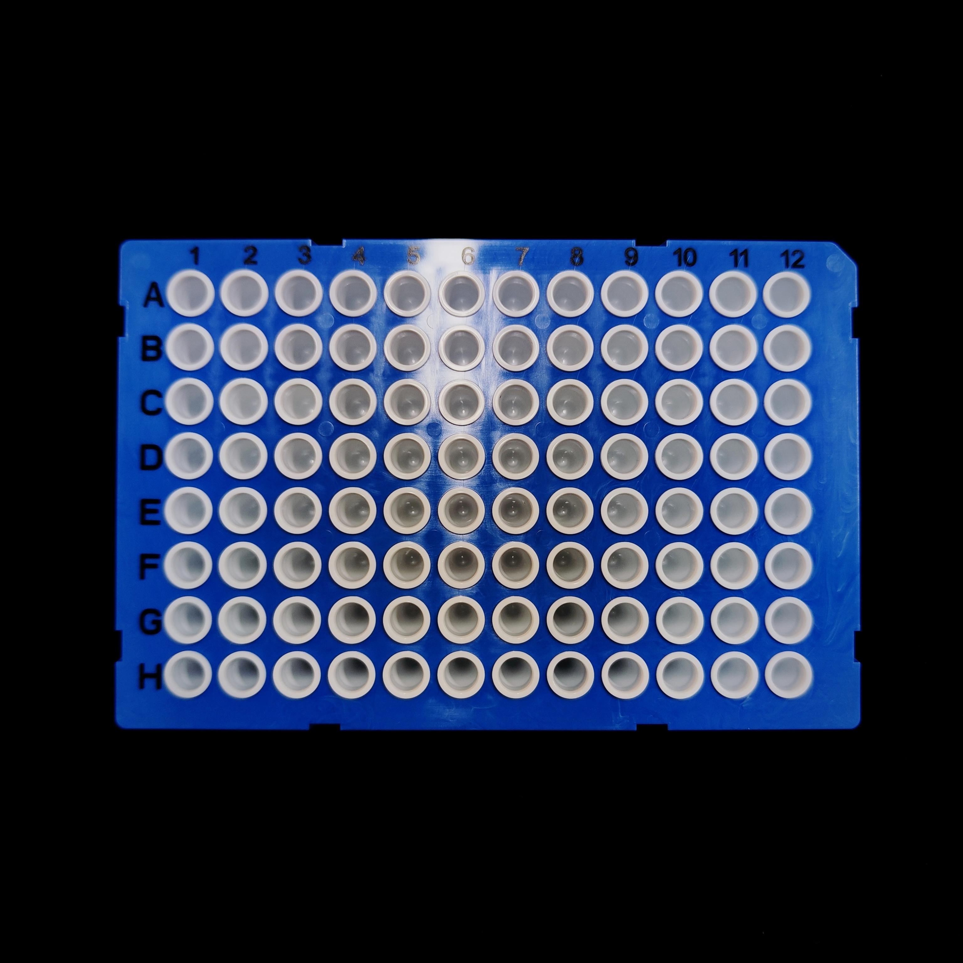 PCR Blue 96 well plate with black mark 802046