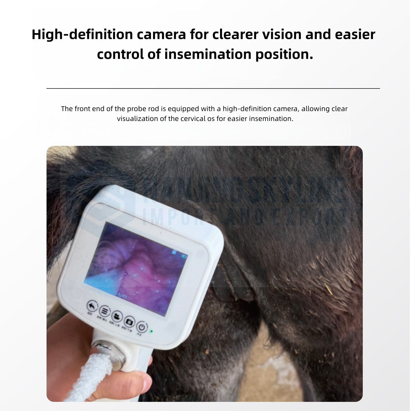 Donkeys & Horses Visual Artificial Insemination Gun 