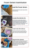 Donkeys & Horses Visual Artificial Insemination Gun 