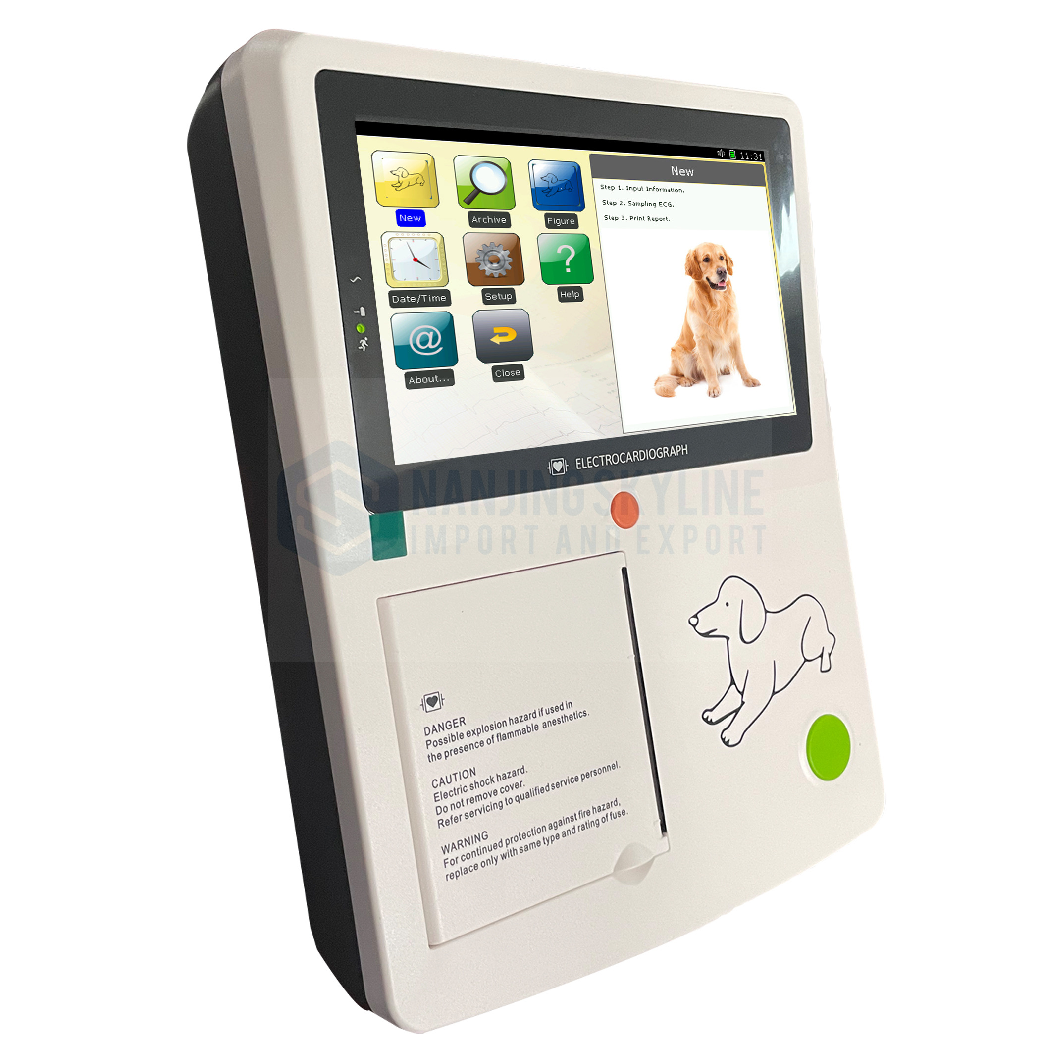  3 Channel Animal ECG