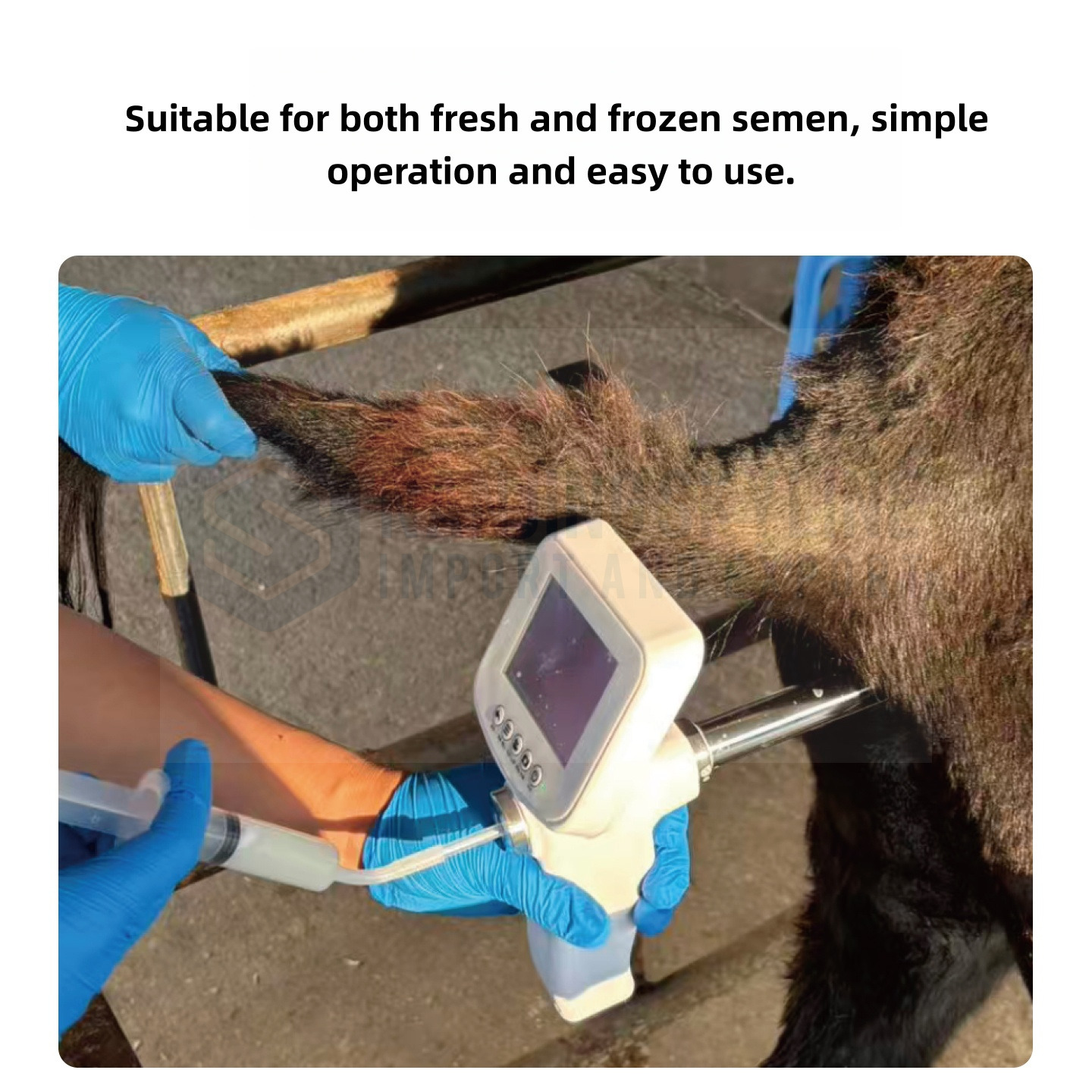 Donkeys & Horses Visual Artificial Insemination Gun 