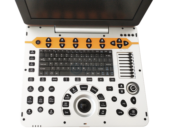 P60VET Ultrasound with Micro-convex Probe& High-frequency Phased Array Probe 