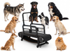 QINEX CARE Non‑Electric Pet Dog Slat Mill Treadmill