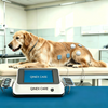 Qinex Care TENS+EMS Physiotherapy Device Cattle Horse Canine