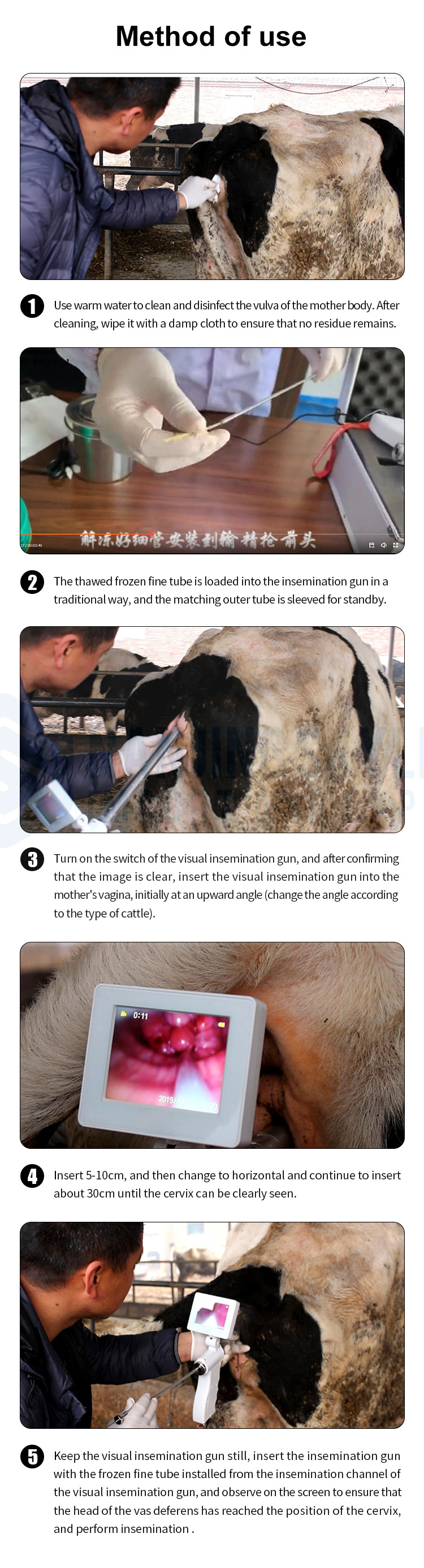 Cattle Visual Insemination Gun