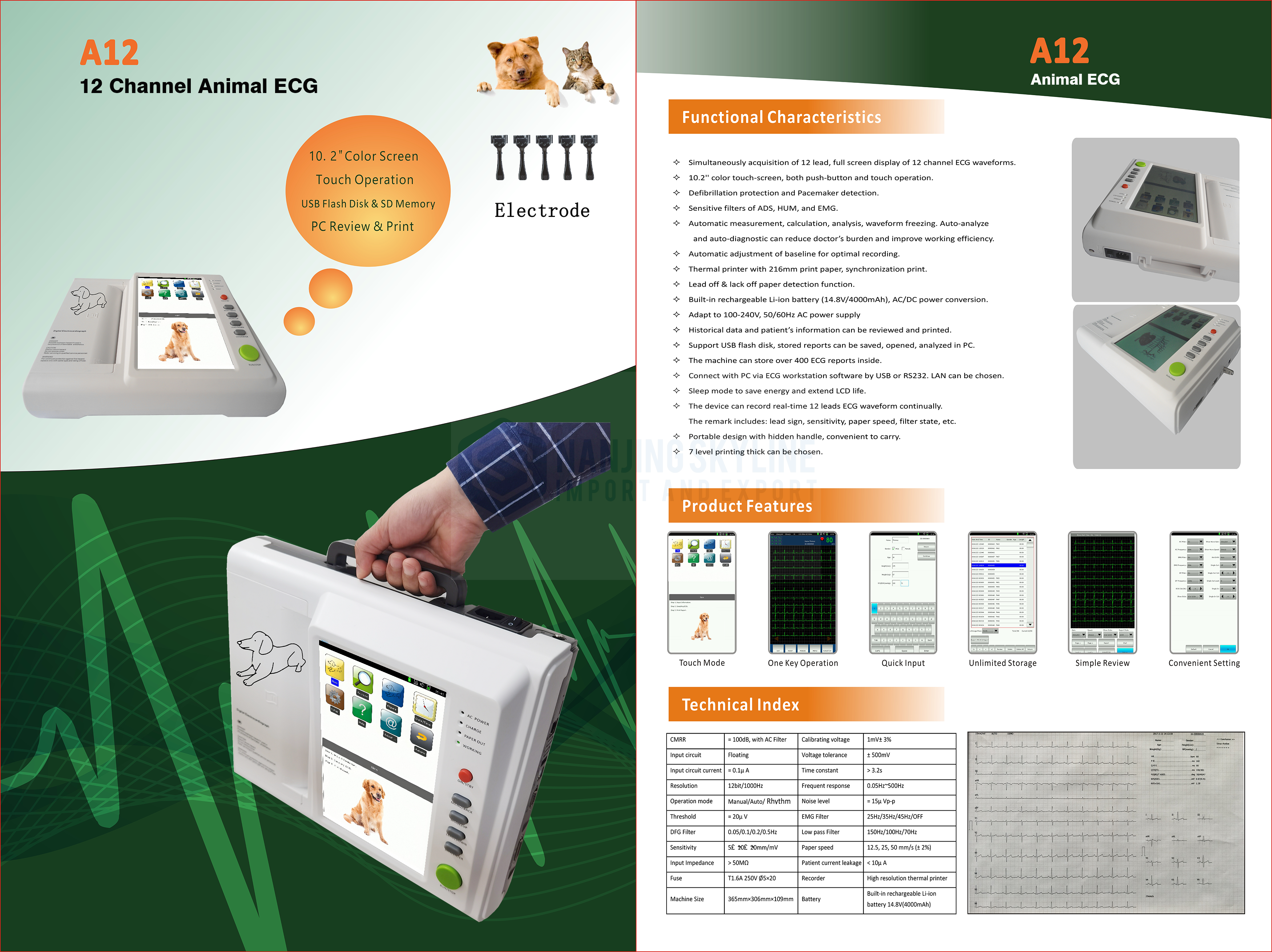 12 Channel Animal ECG