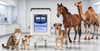Veterinary X-ray Machine Portable 5KW
