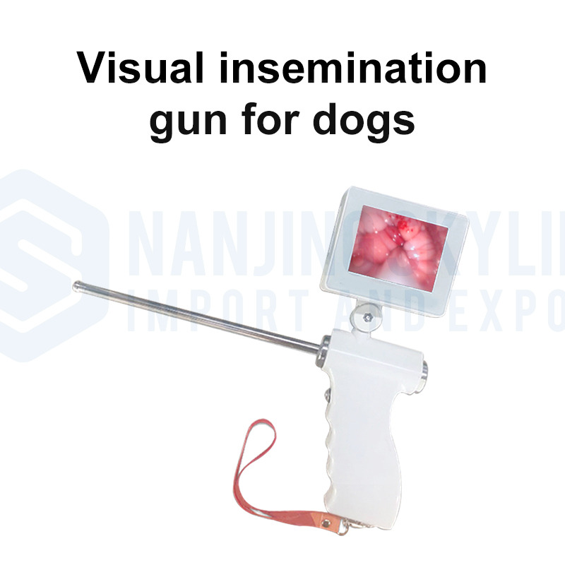 Dog Visual Insemination Gun