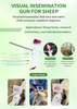 Sheep Dog Visual Insemination Gun
