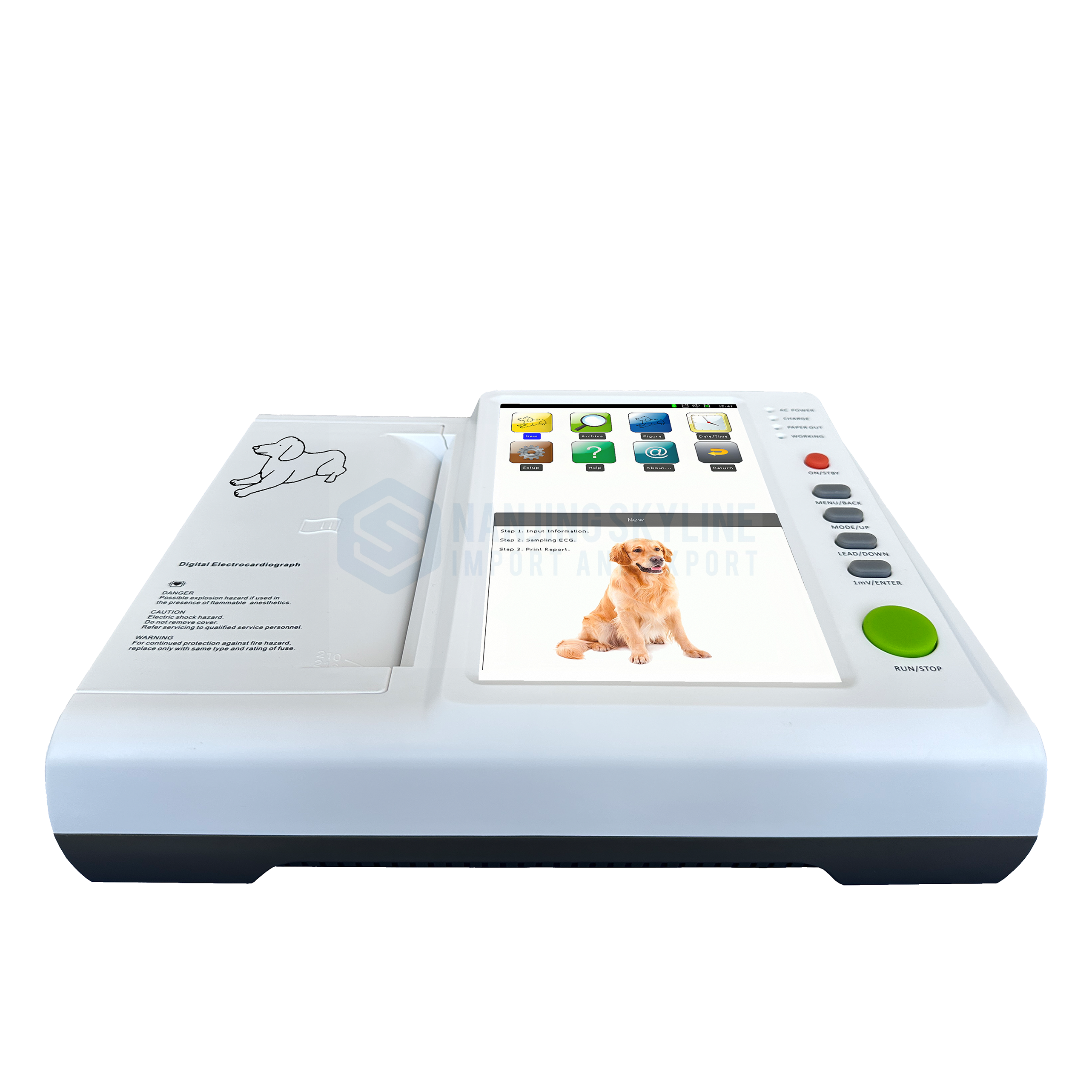 12 Channel Animal ECG