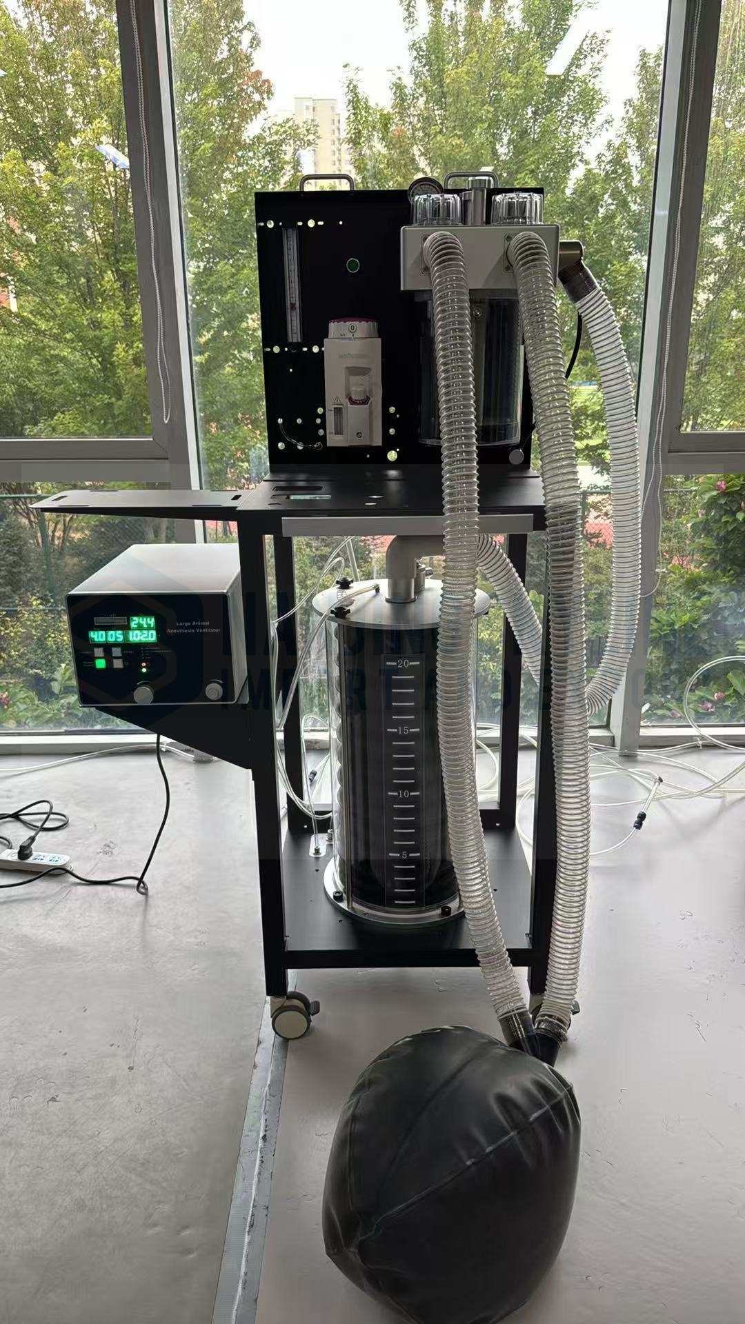 Large Animal Anesthesia Machine