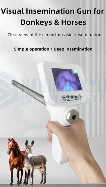 Donkeys & Horses Visual Artificial Insemination Gun 