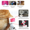 Cattle Visual Insemination Gun