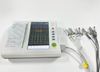 12 Channel Animal ECG