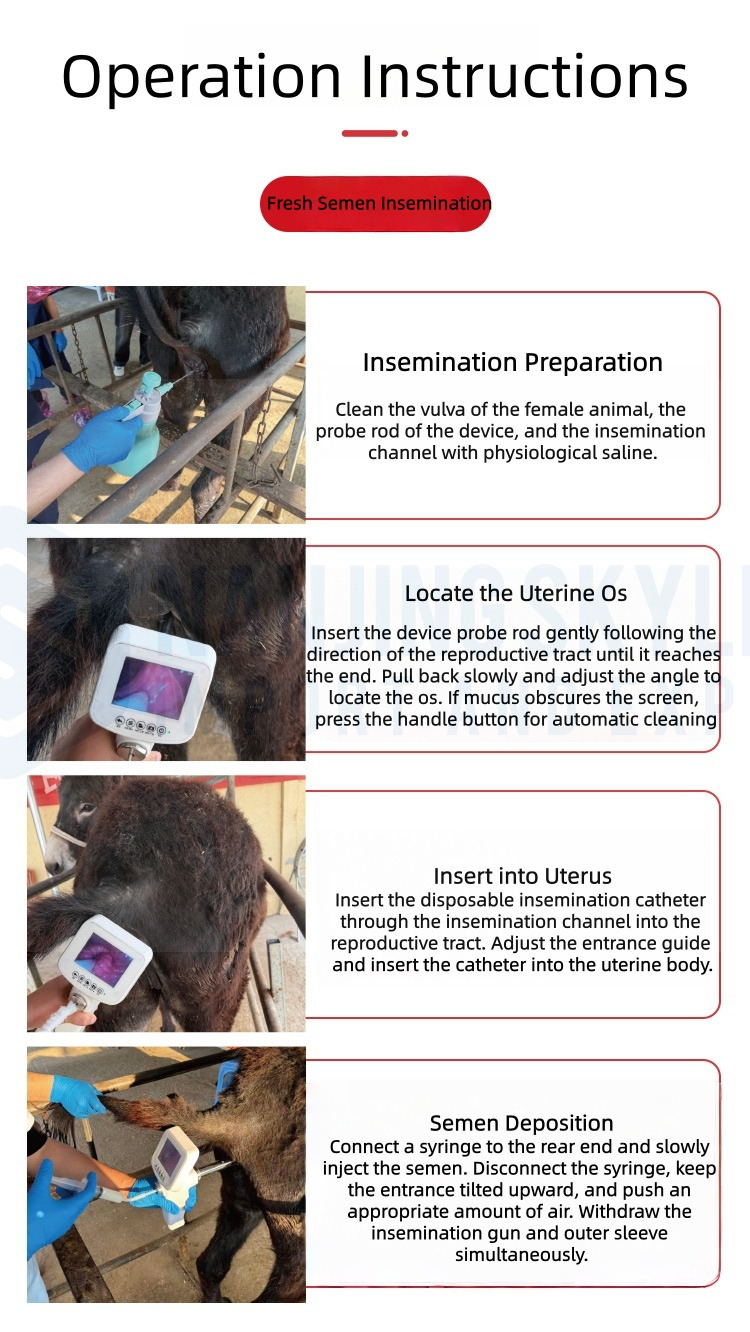Donkeys & Horses Visual Artificial Insemination Gun 