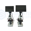 Constant Temperature Microscope NS-901