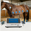 Qinex Care TENS+EMS Physiotherapy Device Cattle Horse Canine